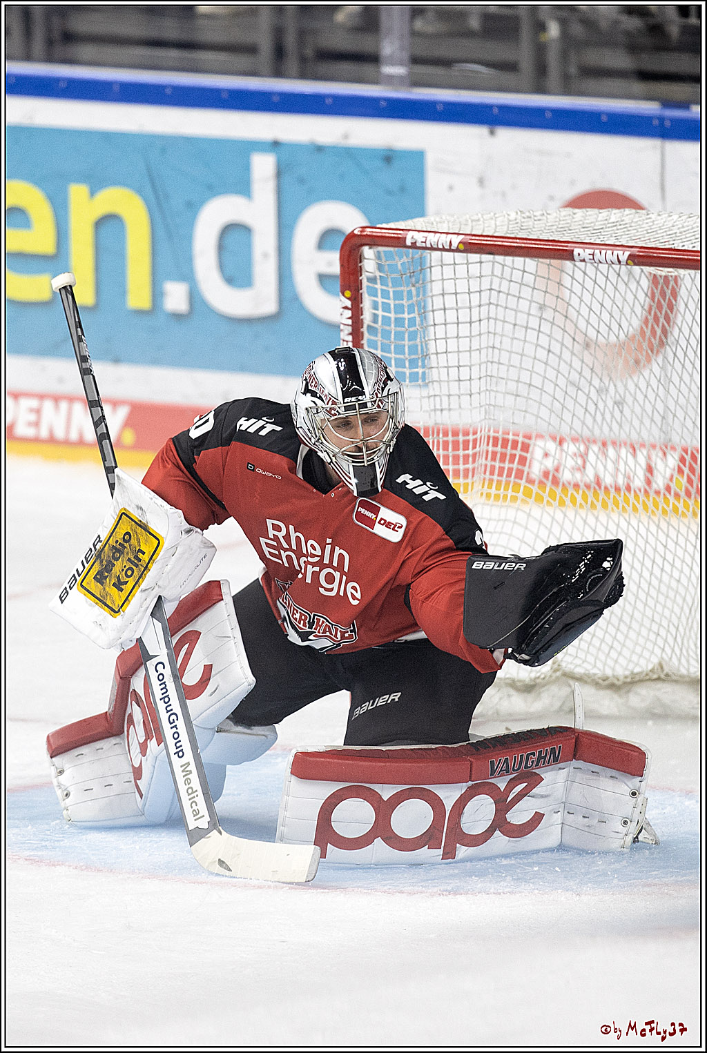 PENNY DEL;  Koelner Haie - Duesseldorfer EG; Koeln, 19.10.2021